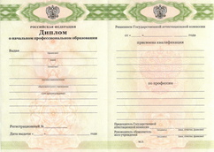 Диплом ПТУ (Училище) 2011 - 2026 годы